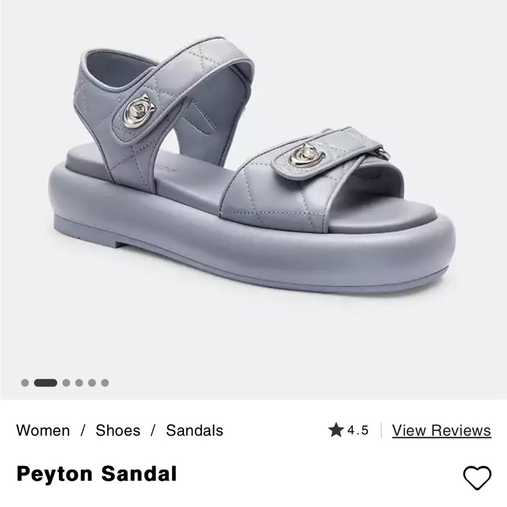 COACH Peyton Leather Platform Sandals Size 9 In Grey Blue New In Box